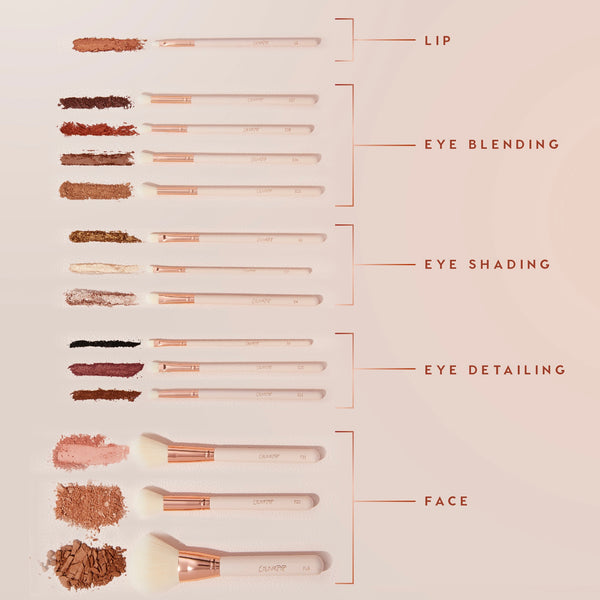 CP Face & Eye Brush Set